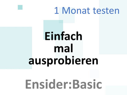 Ensider:Partner Basic - Testmonat